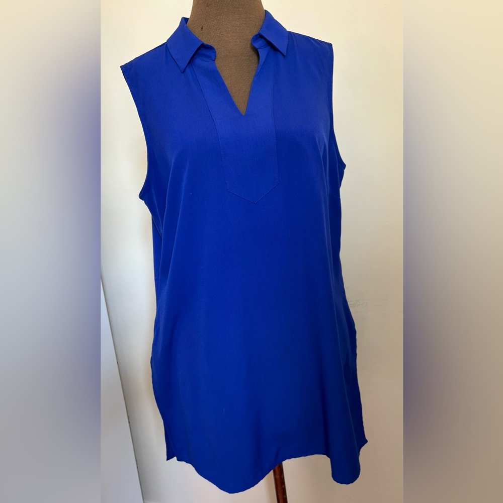 The Limited Royal Blue Collared Tunic Top